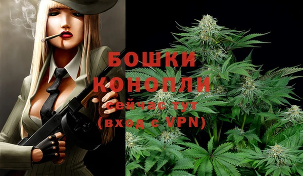 Альфа ПВП Новозыбков