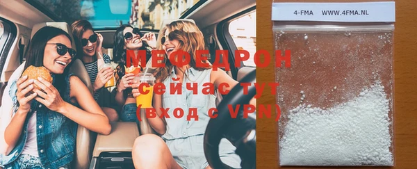шишки Аша