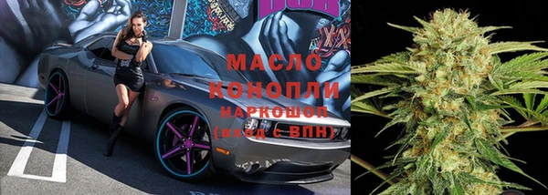стафф Алексин